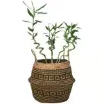 CACHE POT OSIER PANIER DECO plante