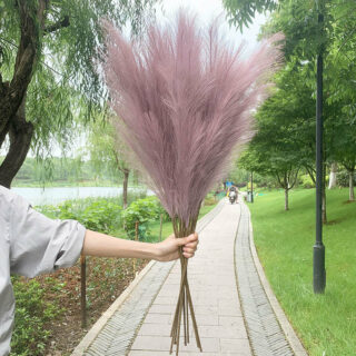Herbe de la Pampa Violette – 5 Tiges de 100 cm