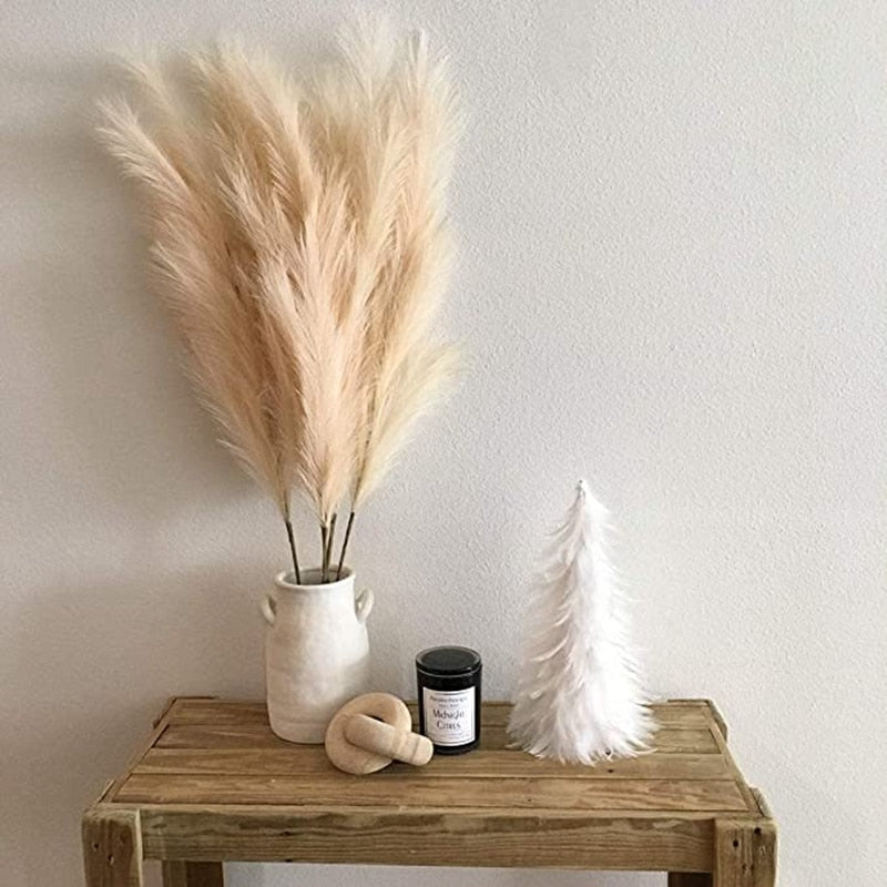 Herbes Séchées de la Pampa – Noisette – 5 Tiges de 100 cm - La boutique ...
