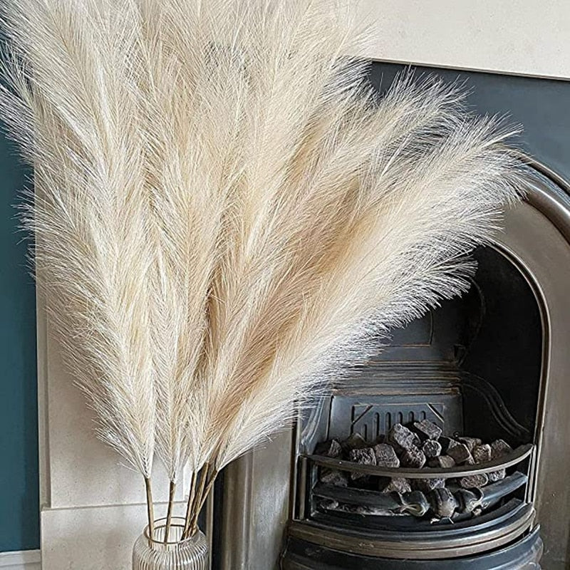 Pampa Grass Grise – 5 Tiges de 100 cm - La boutique bohème